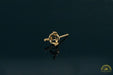 Photo of 5mm Round 3-Prong Fairmined Gold Stud Earring Mounting from RIVA Precision