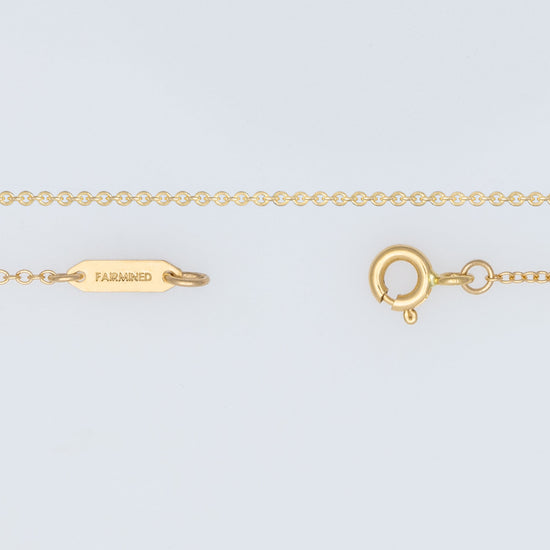 A fairmined gold cable chain necklace with a spring ring clasp and jump rings, laid out on a white background.