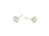 3 Prong Martini Stud Earring Pair