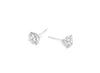 4 Prong Martini Stud Earring Pair
