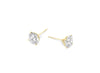 4 Prong Martini Stud Earring Pair