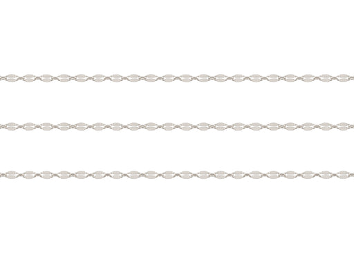 Silver chain on a white background