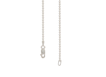 Silver chain with clasp on a white background