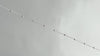 Sterling Silver 1.3mm Cable Satellite Chain RIVA Precision 