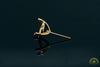 Photo of 7.7mm Round 3-Prong Fairmined Gold Stud Earring Mounting from RIVA Precision, side view